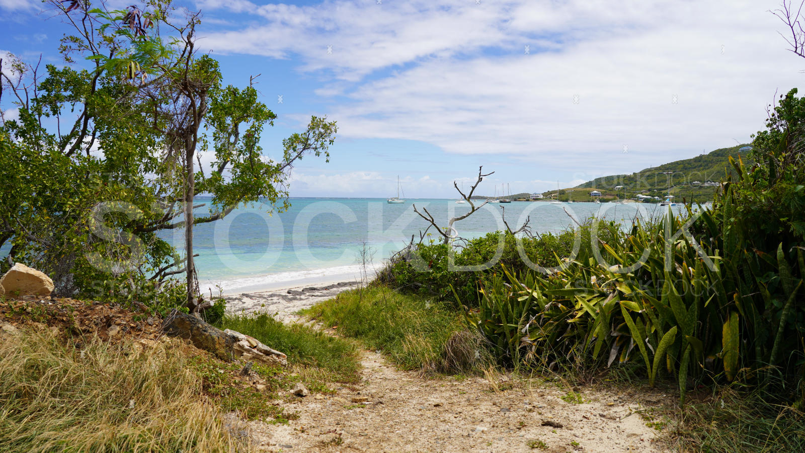 Teague Bay Beach