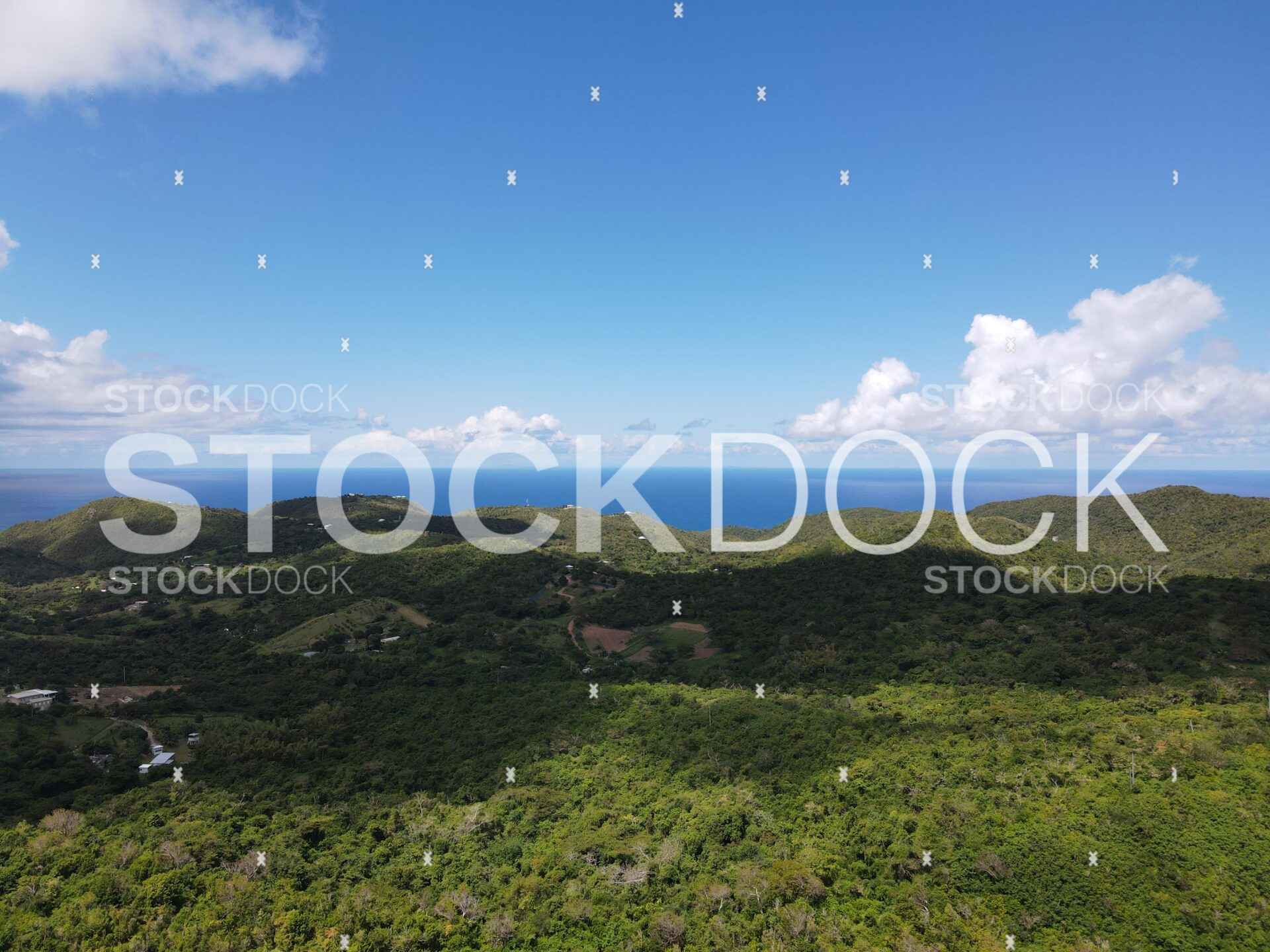 Annaly rainforest and the hills in west