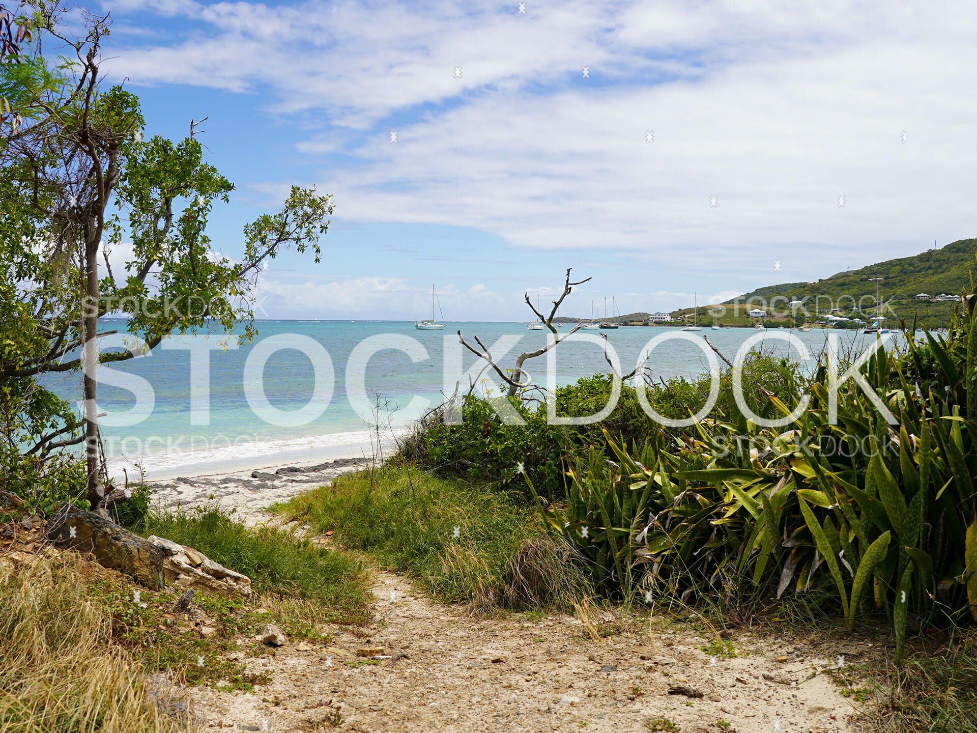 Teague Bay Beach trail