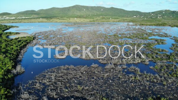 Great Pond Saint Croix