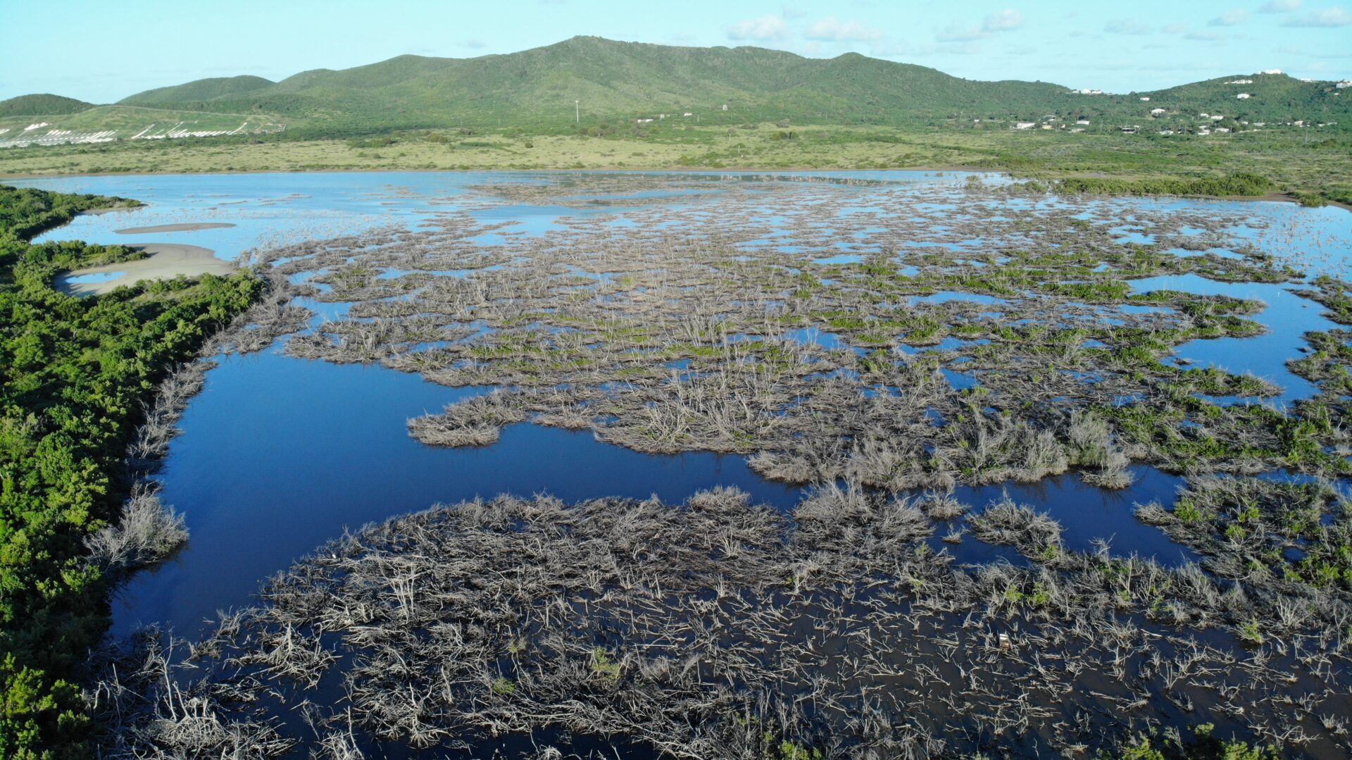 Great Pond Saint Croix