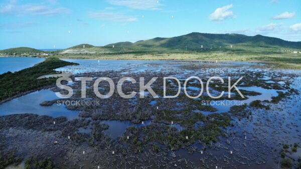 Great Pond from east