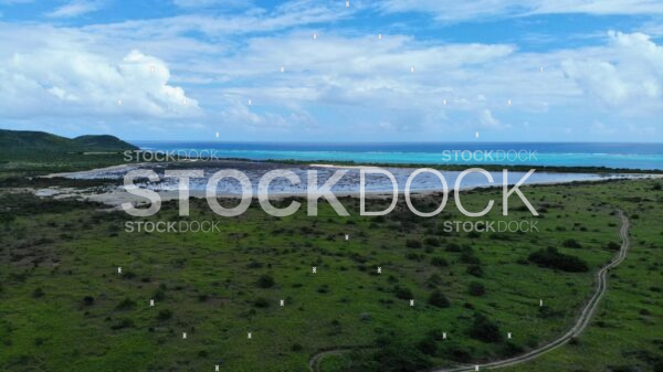 Great Pond from west